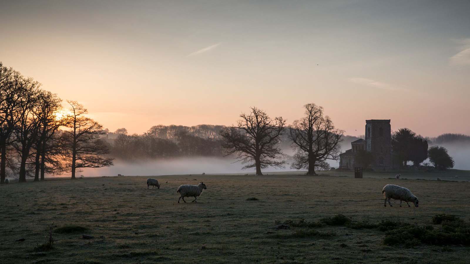 Christmas at Fawsley Hall