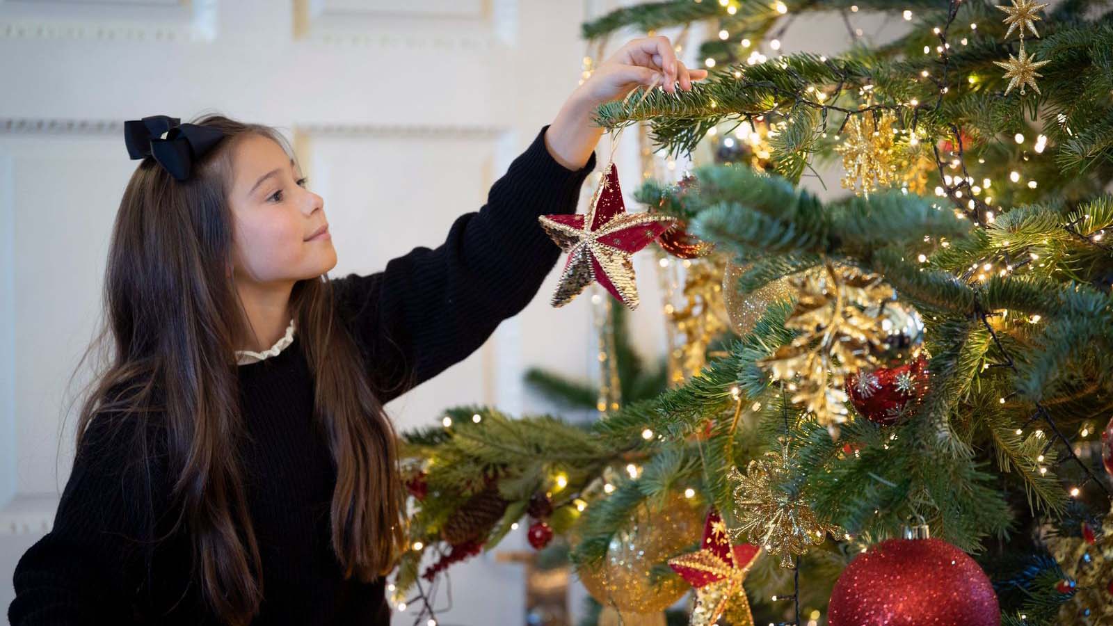 Christmas at Fermain Valley