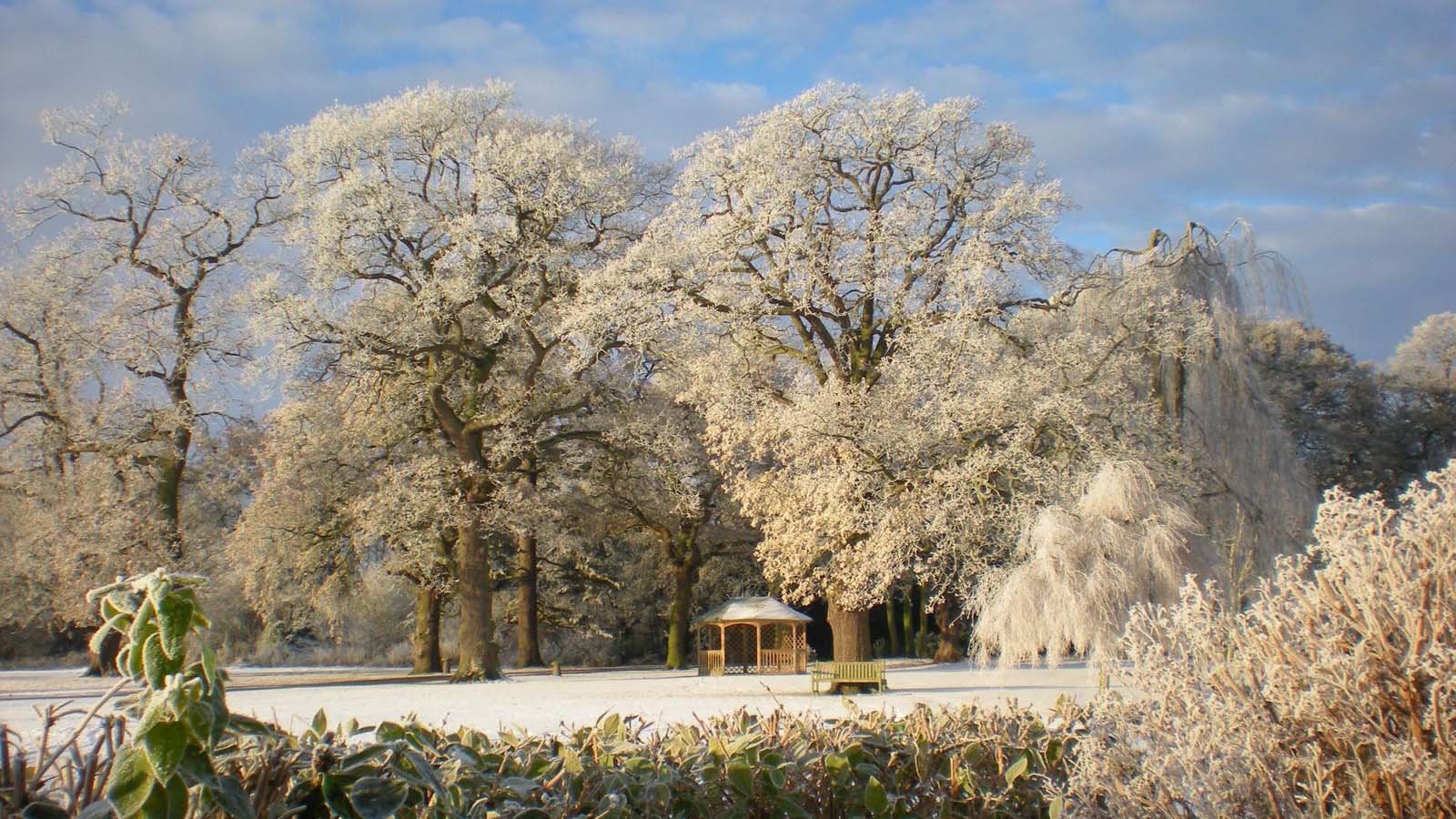 Christmas at Rookery Hall